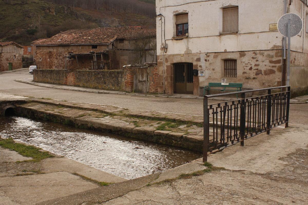 Fotografía de la galería de imágenes con id: 850